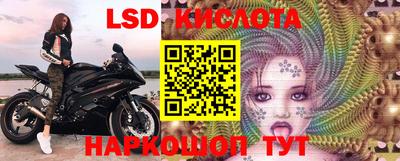 шишки Бузулук