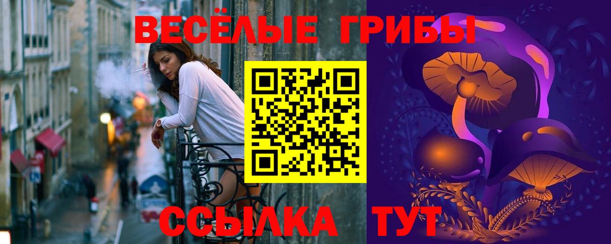 Кумертау  Галлюциногенные грибы Cubensis  Вход с VPN 